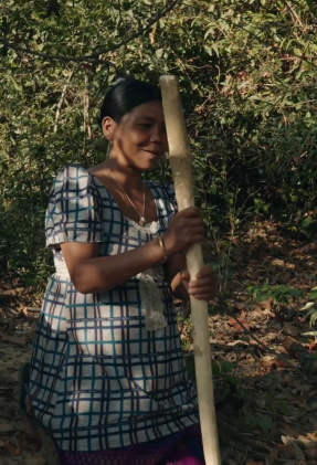 BIRTH IN THE FOREST2