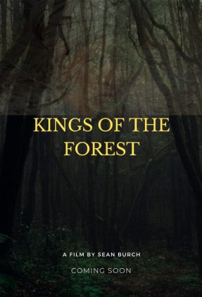 Kings of the forest-poster