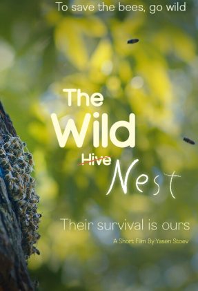 The wild hive-poster