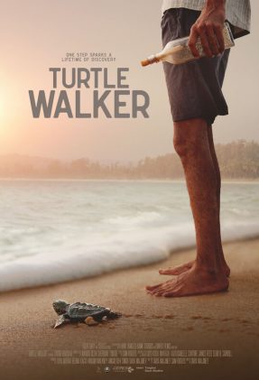 Turtle walker-poster